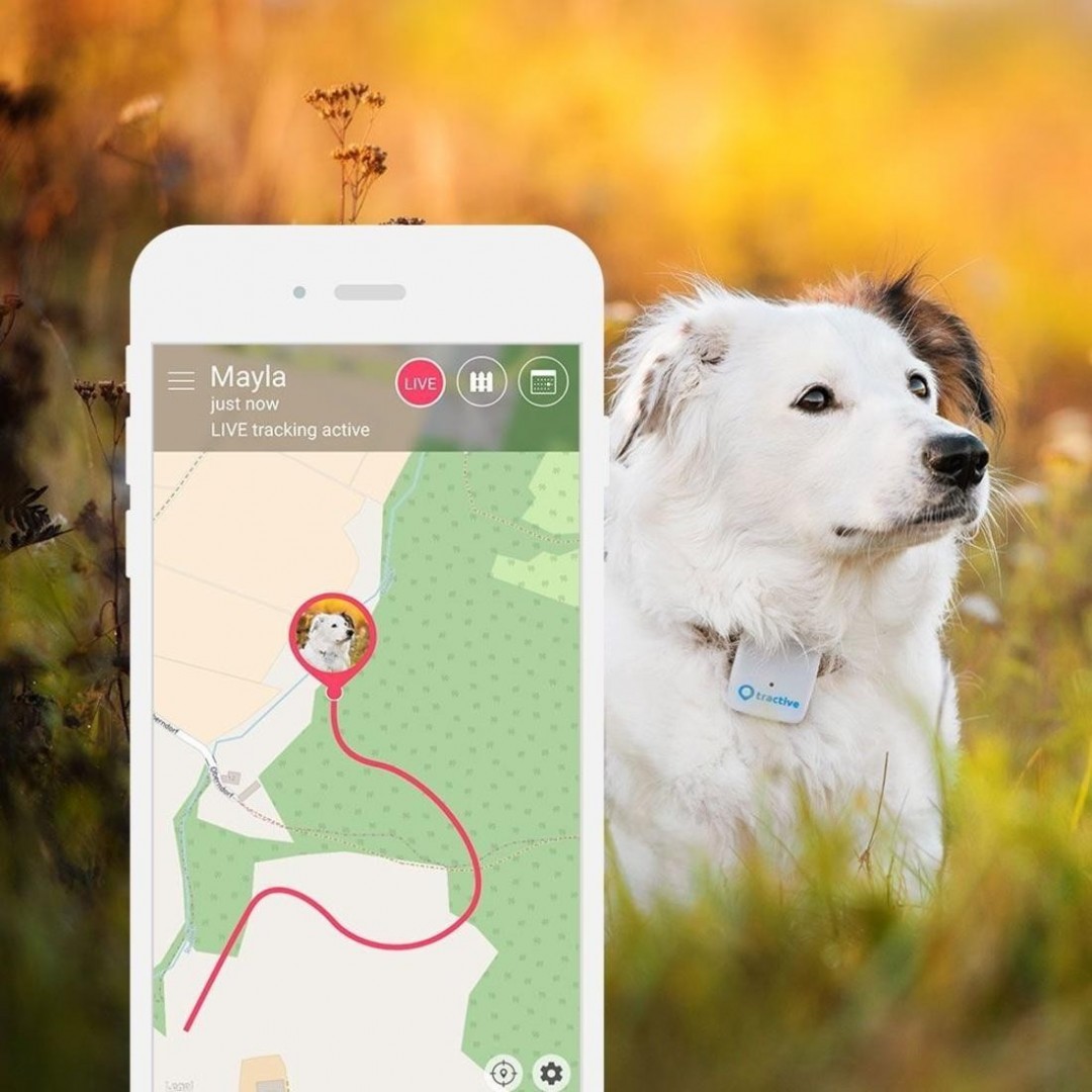 Tractive GPS lokátor pro domácí mazlíčky